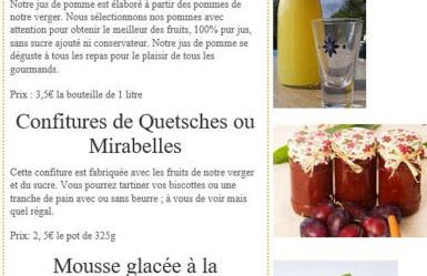 Gîte de famille dans les Vosges - Foto 36