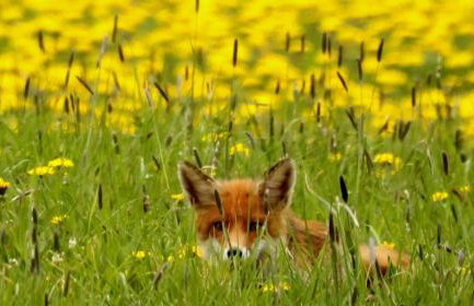 Sauerland Alm Winterberg 5 - Photo 19