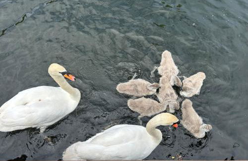 The Floating Home at Upton - Foto 17