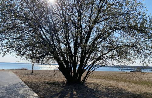 SeeZauber- gemütliche Ferienwohnung, Privatparkplatz, Cospudener See - Foto 9