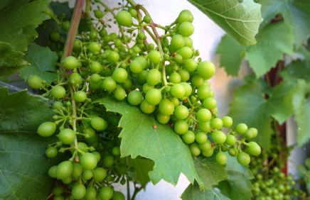 Ferienwohnung Markt 7 - Foto 22