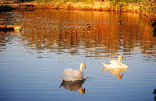 Monte Calmaria by Estilo Lusitano, with private pool and Jacuzzi - Foto 32