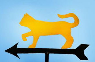 Agriturismo Gattogiallo - Foto 32