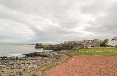 Summer Rose - Foto 34