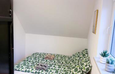 Enklawa Pana Pszczoły - Foto 23