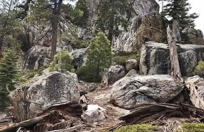 Heaven's Nest - the Best Views of Lake Tahoe! - Photo 17