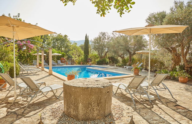 Agritourismo Alquería Blanca - Foto 57