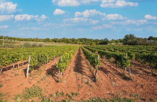 Villa Gracia - Foto 49