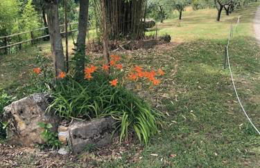 luxury villa in centre of tuscany - Foto 31