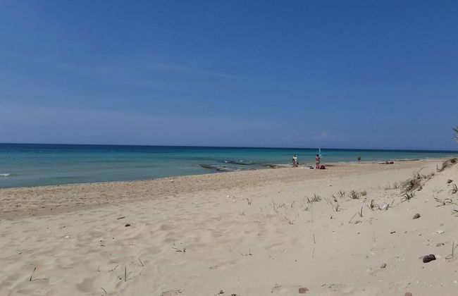 Casa Linda - Photo 11