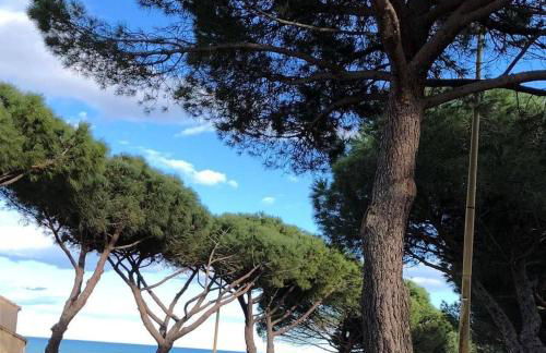 Vue imprenable sur mer- La perle de Saint Pierre La Mer - Foto 41