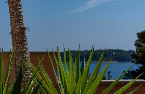 Villa Milina Korčula A Quiet Mediterranean Retreat - Foto 29