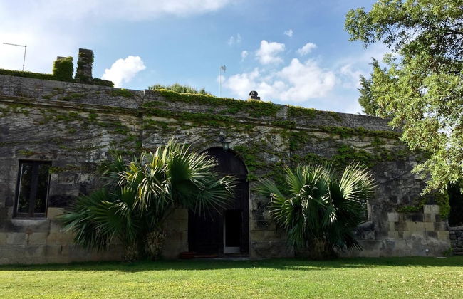 Tenuta Sant'Andrea - Foto 56