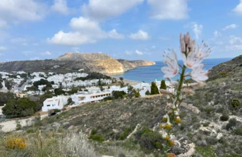 Rinconcito en Aguamarga VUT AL 14349 - Foto 14