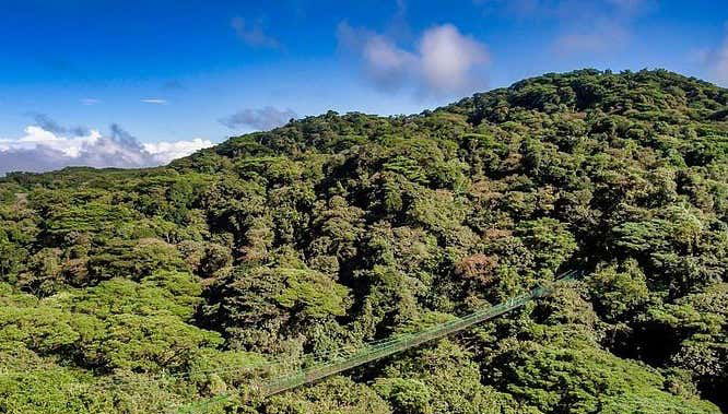 Monteverde Cloud Forest Suspension Bridges Tour - Foto 2