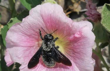 Les chambres de la ferme de chalas - Foto 52