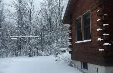 Cozy Cabin near Lake Ontario Ideal for a Family Retreat - Photo 17