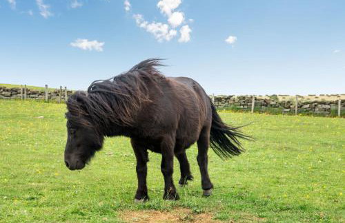 Street House Farm Cottage - Foto 22