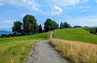 Ferienwohnung BergOase mit Pool & Sauna - Foto 44