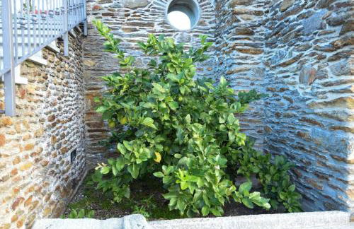 Agriturismo Il Colle - Foto 22