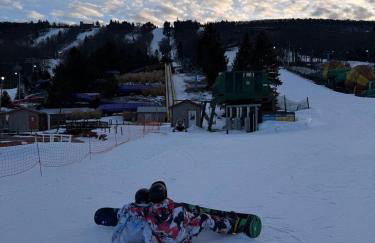 Golden Deer Lodge - Foto 3