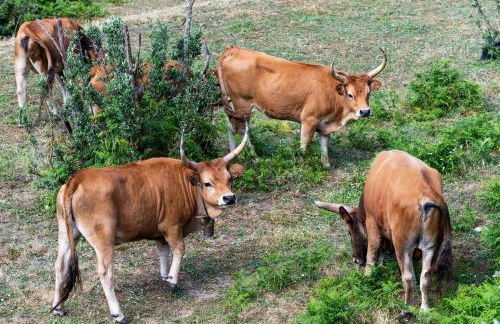 Quinta da Tapada - Foto 43