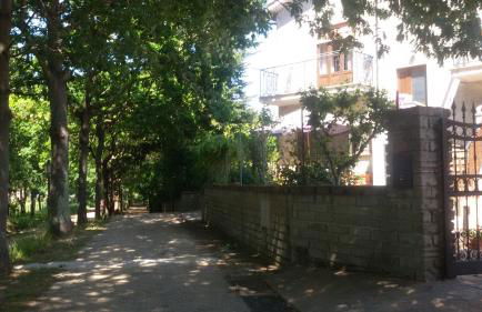 alloggio turistico olmata - Foto 2