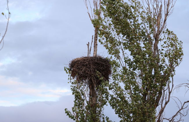 Agroturismo la finka - Foto 25