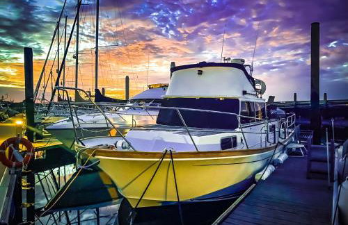 Motor Yacht Sea Wolf - Foto 9