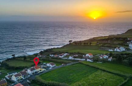 Whale Song - Photo 2