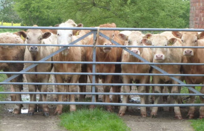 Host Stay Great Habton Cottage - Foto 31