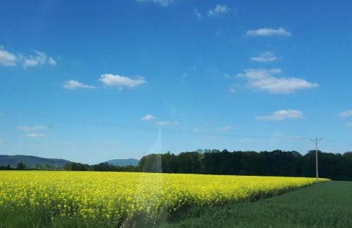 Agroturystyka "JAGAP" OAZA SPOKOJU - Foto 39