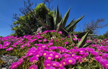 CasAlegria La Franqui - Foto 43