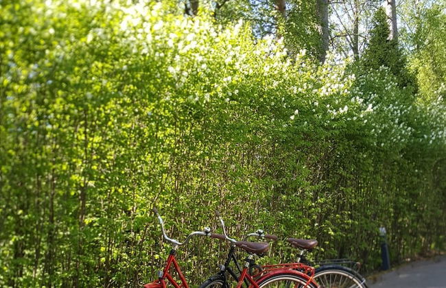 Villa Pescator - Foto 37