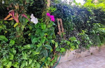 Casa 2000 Positivo UTFPR INC Volvo - Foto 25