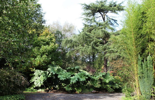 Mansion in Ruiselede Doomkerke - Photo 34