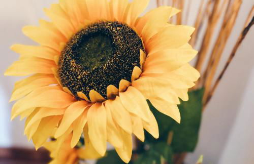 Casas da Olaria - Foto 63