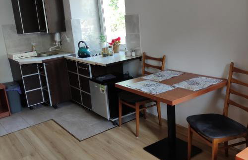 Apartament pod Lipą - Foto 1