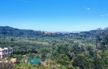 The lodge guest house - Foto 3