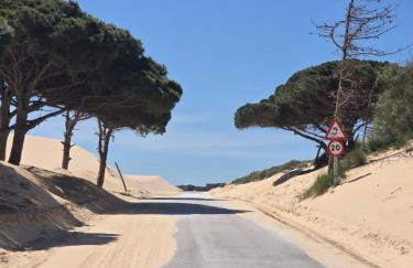 Villa de la luz - Foto 8