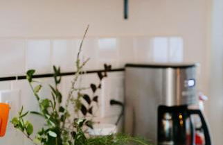 Cottage by the Sea: Pagnotto Shellback House - Foto 28