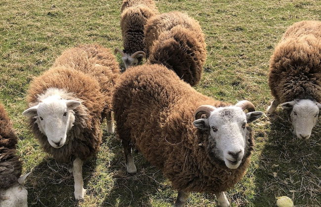 Woodfield House - Photo 19