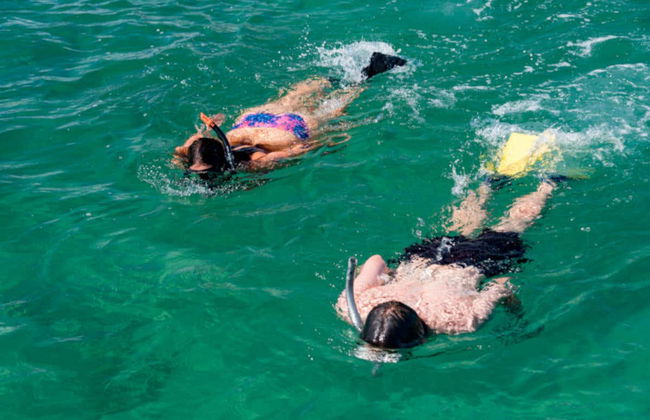 Bay of Islands Cruise - Photo 6