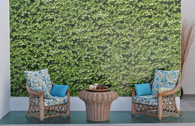 Mariposa del Sol - Foto 80