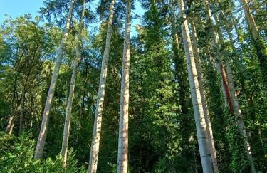 The Stables at Eriviat Hall - Foto 72