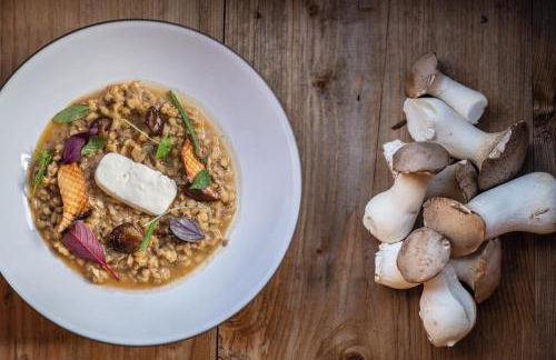 Arieshof Castell - Photo 29