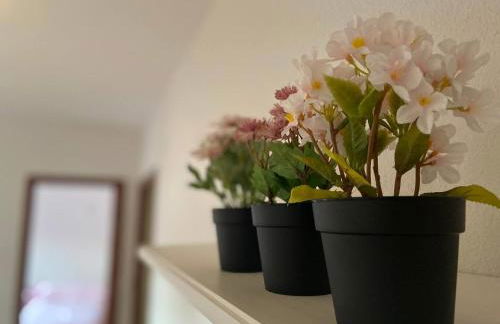 Sego Apartments II - Foto 18