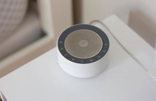 Efficiency in Grand Old Home, Downtown Durham - Photo 18