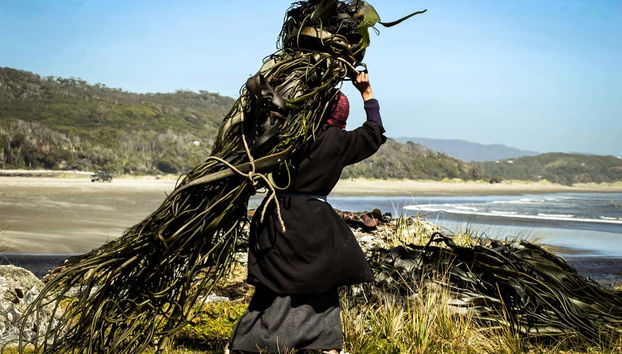 Raccolta di alghe su una spiaggia sulla costa del Pacifico