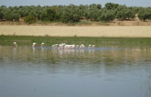 Casa Isabel - La Almona Chica - Foto 53